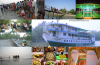 Sundarban Tour (Package or Corporate)